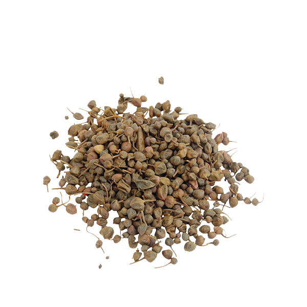 Capperi iblei in salamoia